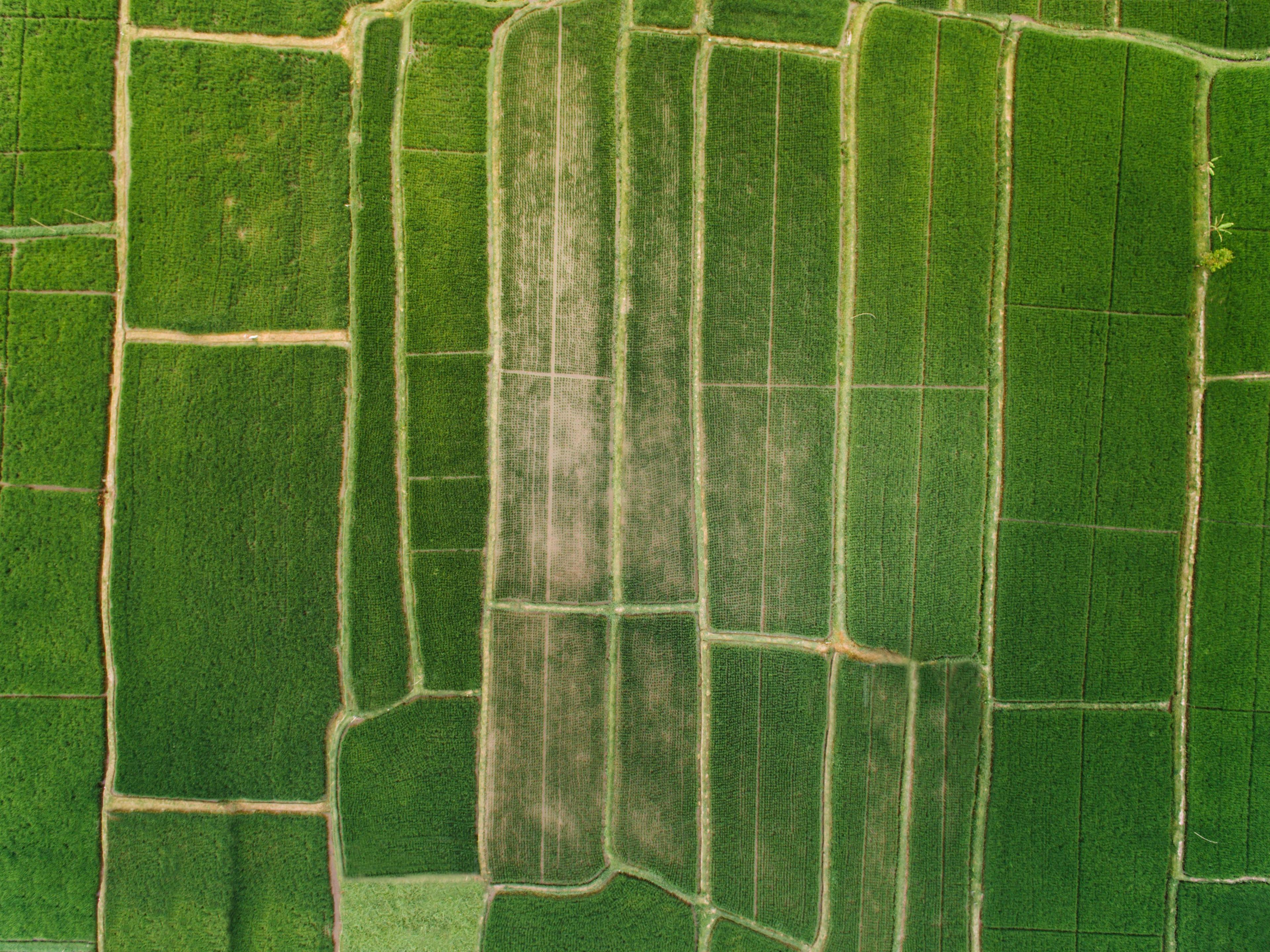 Agricultural Field Mapping